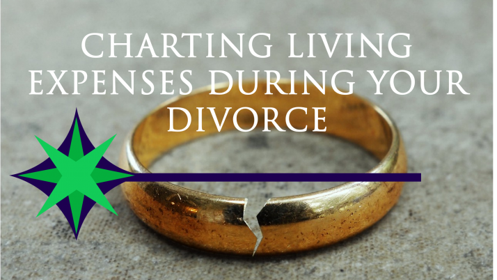 Charting Living Expenses During Your Divorce